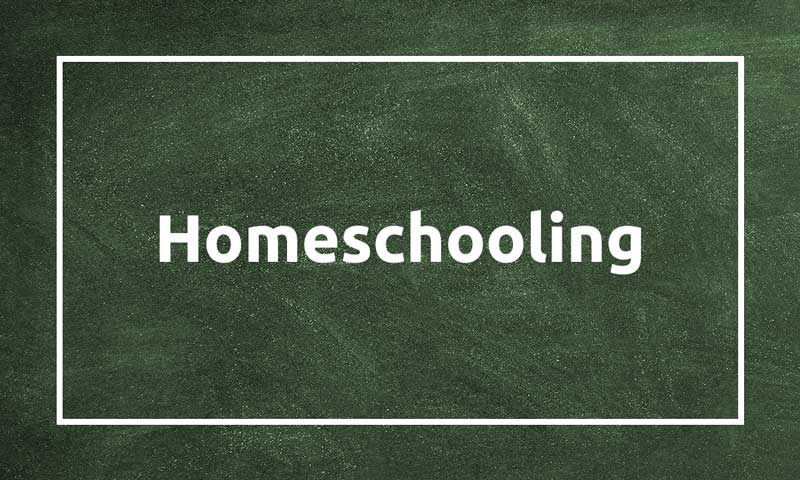 Homeschooling: aprender a programar a tu ritmo con Codelearn